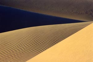 Dune 1, Pismo Beach, Picture Taken by Daniel Darroch