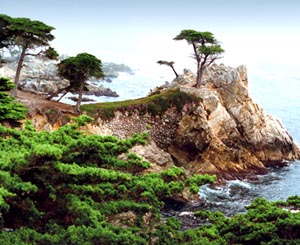 Carmel , California Seascape, Photo Taken by Clark Dugger
