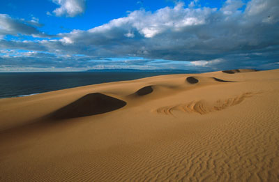 Guadalupe Sand Dunes by Chuck Graham