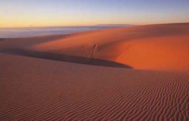 Guadalupe Sand Dunes by Chuck Graham