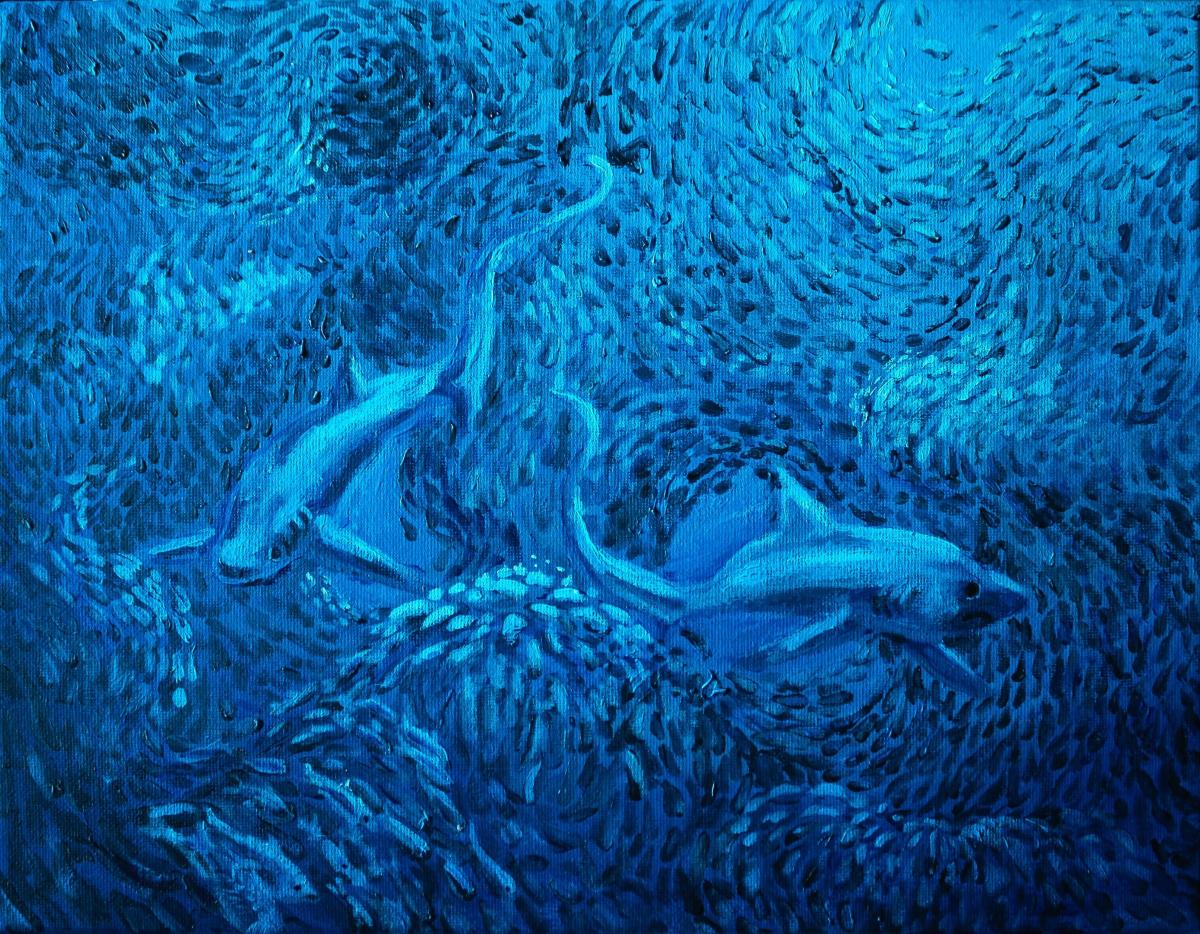 Two thresher sharks swim through a school of sardines. The fish move in synchronization around the sharks and with the currents.