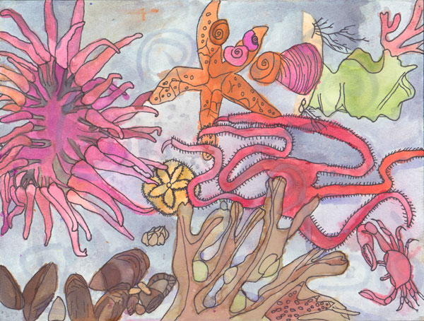 Tidepool , by Juan Amezquita, 6th grade, Redondo Beach 