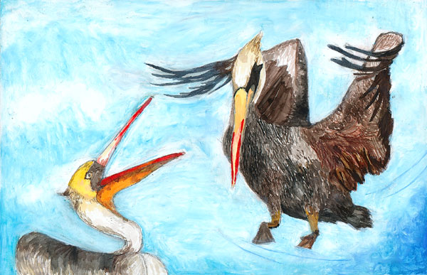 Brown Pelican, by Annette S. Kim, 5th grade, Los Angeles