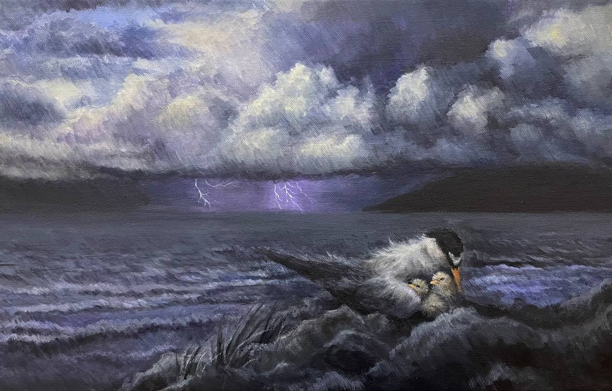 A shorebird huddles over a nest with two chicks, as a lightning storm can be seen off the coast.