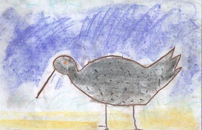 Sandpiper, art by Peter Mellinger, Grade 2