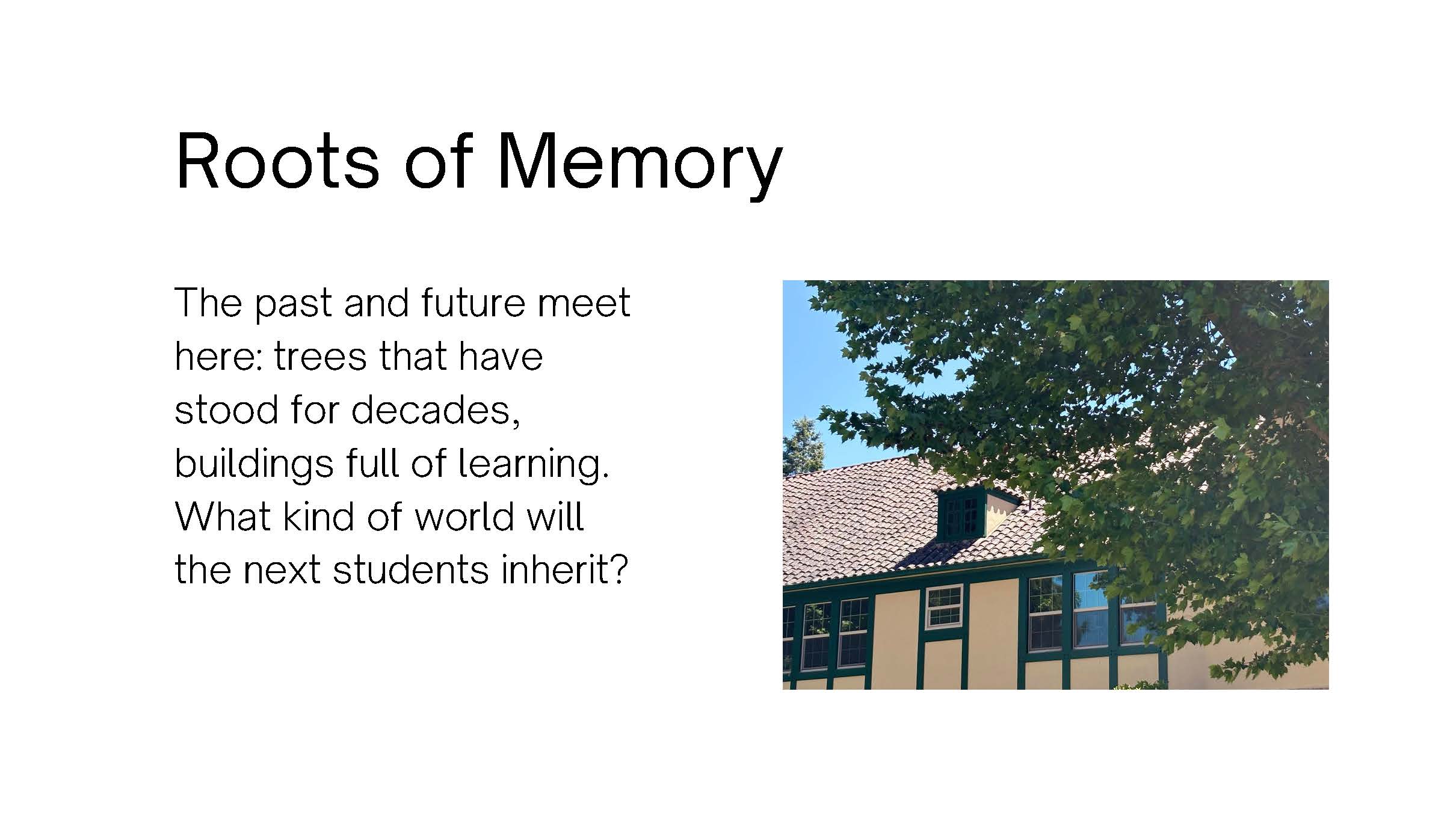 Photo of the roof and top floor of a building, shaded by a tree. Text: Roots of 
					Memory. The past and future meet here: trees that have stood for decades, buildings full 
					of learning. What kind of world will the next students inherit?