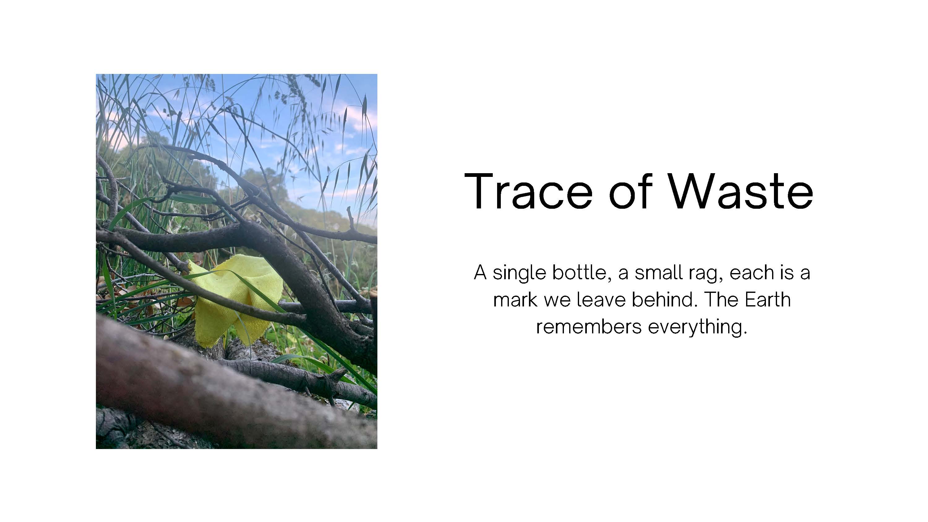 Photo of a piece of trash stuck in a tree. Text: Trace of Waste. A single bottle, 
					a small rag, each is a mark we leave behind. The Earth remembers everything.