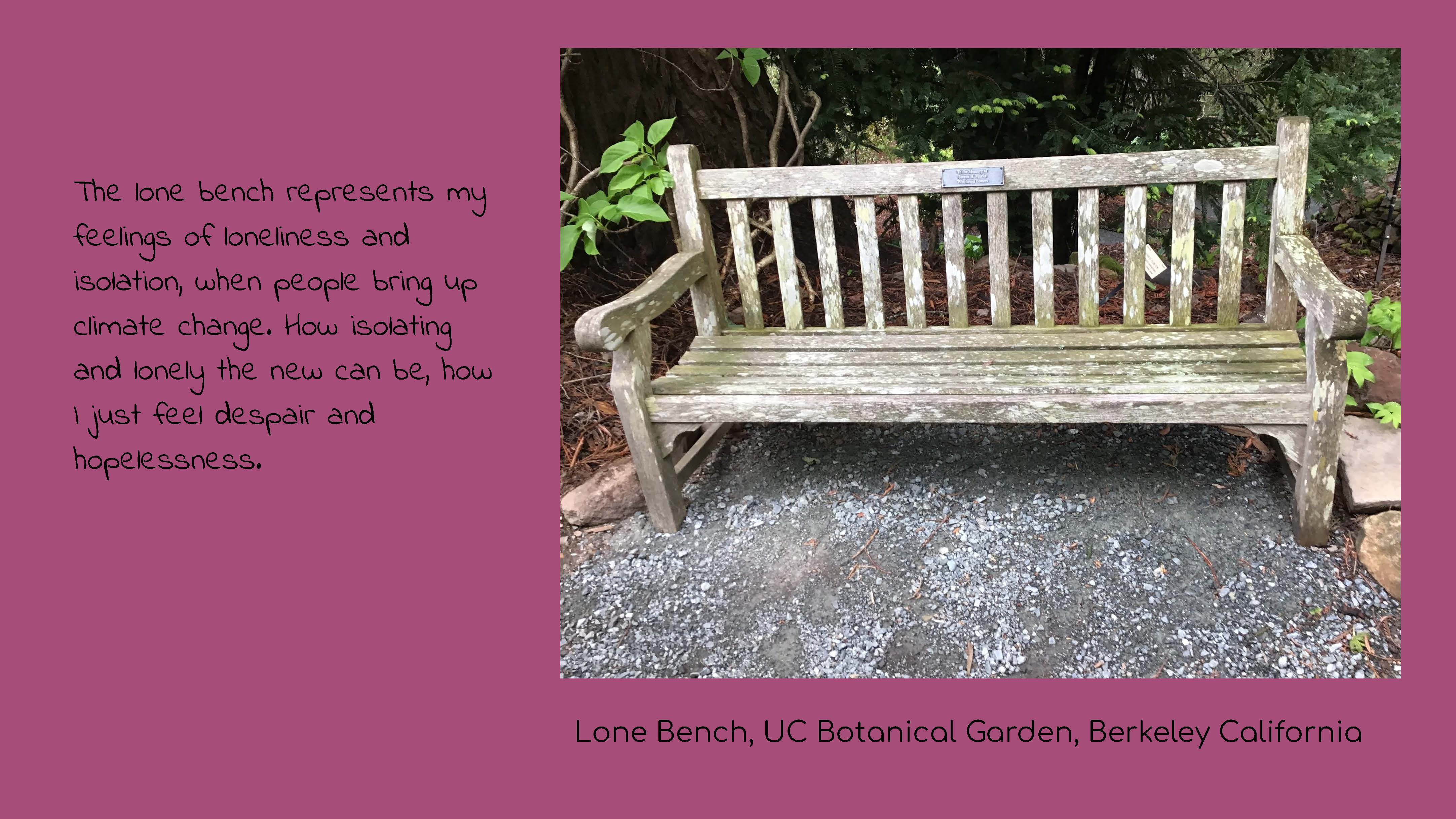 Photo of a wooden park bench. Caption: Lone Bench, UC Botanical Garden, Berkeley California. 
					Text: The lone bench represents my feelings of loneliness and isolation, when people bring up 
					climate change. How isolating and longely the new can be, how I just feel despair and hopelessness.