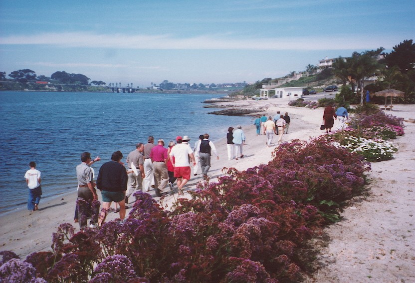 A group of people walk along a sandy beach