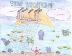 Poster Art Contest Entry from Amber Weiss, 6th grade