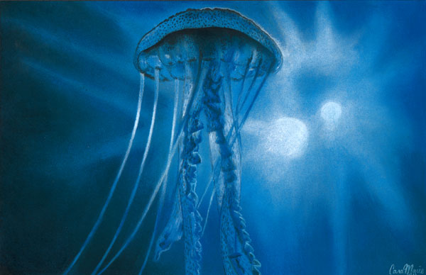 It's a Jellyfish Dream, by Cara Marie Esteban, 10th grade, Hollister