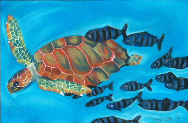 Sea Turtle, by Madison Fernstrom, 11th grade, Tres Pinos 
