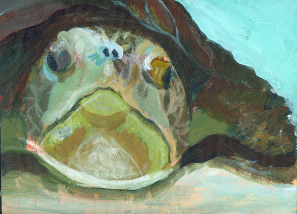 My Sea Turtle Friend , by Eric Frankel, 5th grade, Santa Ana 