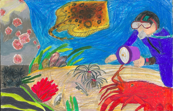 Under the Ocean , by John Kim, 2nd grade, Los Angeles 