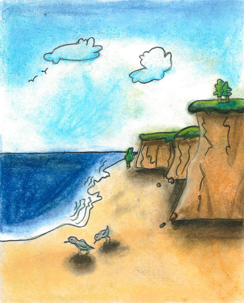 Drawing of a beach below bluffs, two birds on the sand, in pastel