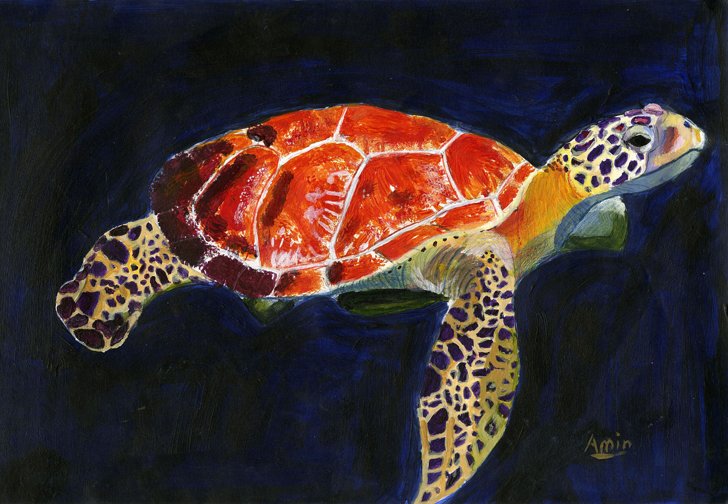 Turtle in profile, in acrylic
