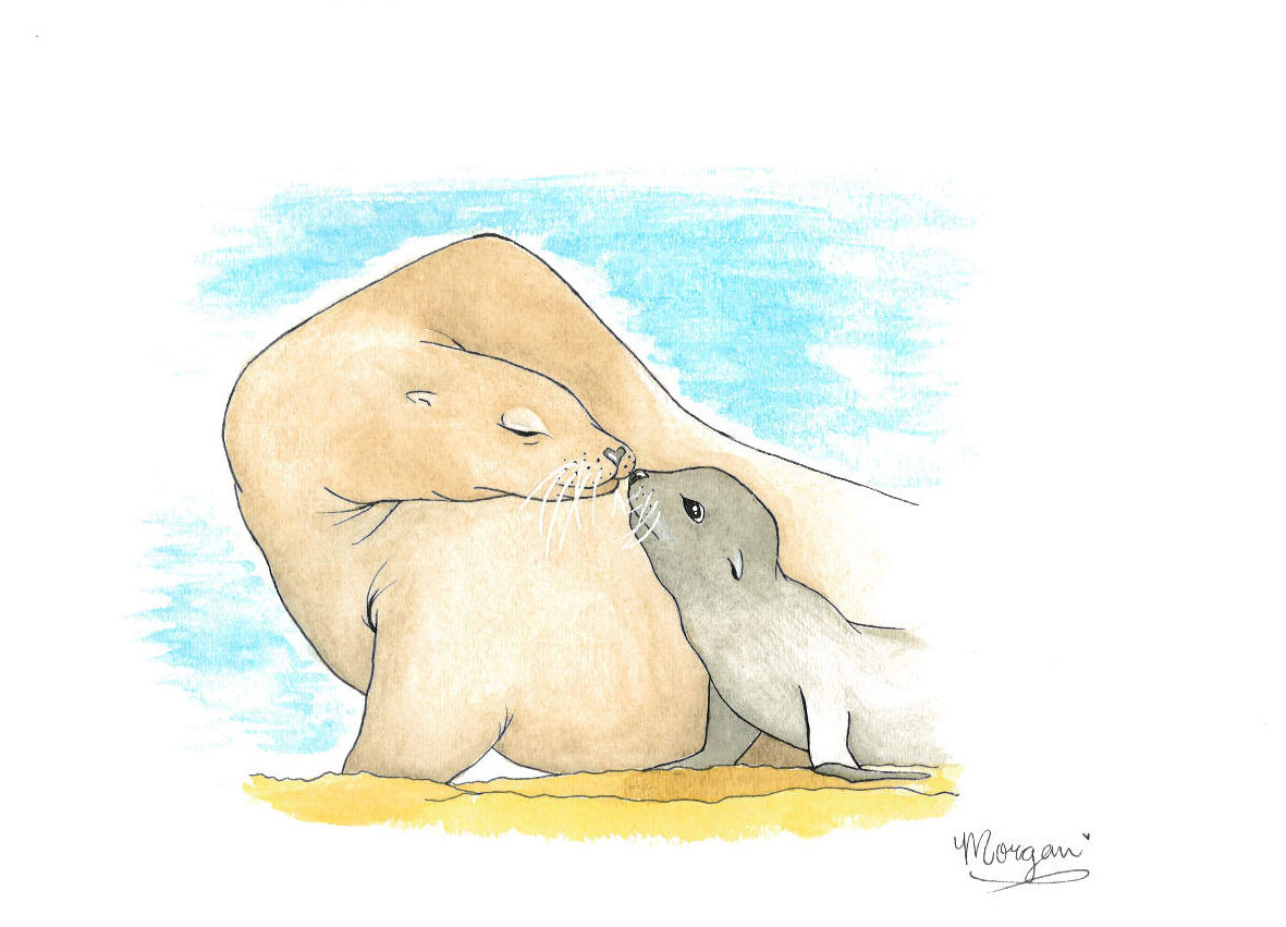 Mother sea lion and pup touch noses, in watercolor