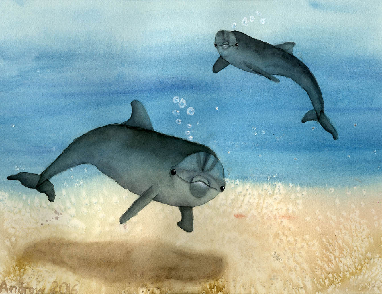 Two dolphins underwater, in watercolor