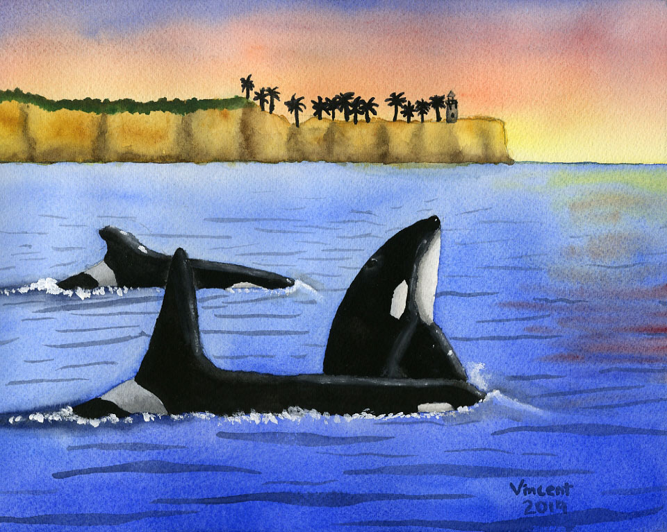 Watercolor painting of a orcas off Point Vicente, by Vincent Cho
