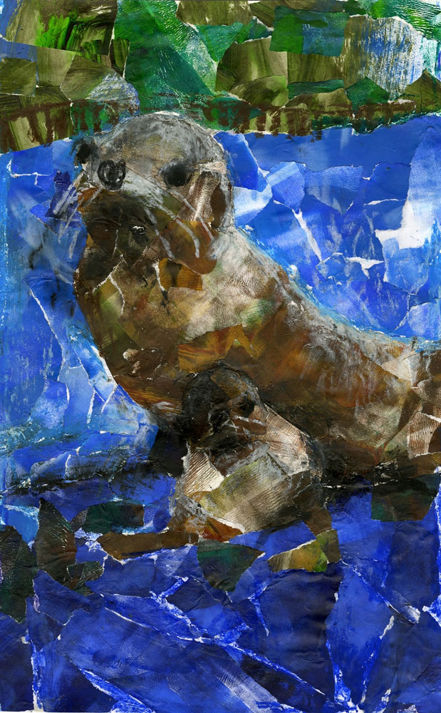 Collage of sea lions, by Caleb Kim