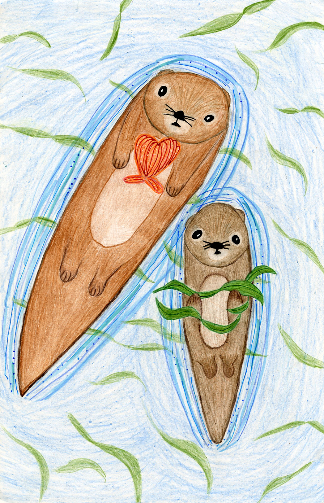 Colored pencil drawing of a mother and baby otter floating on their backs in the kelp