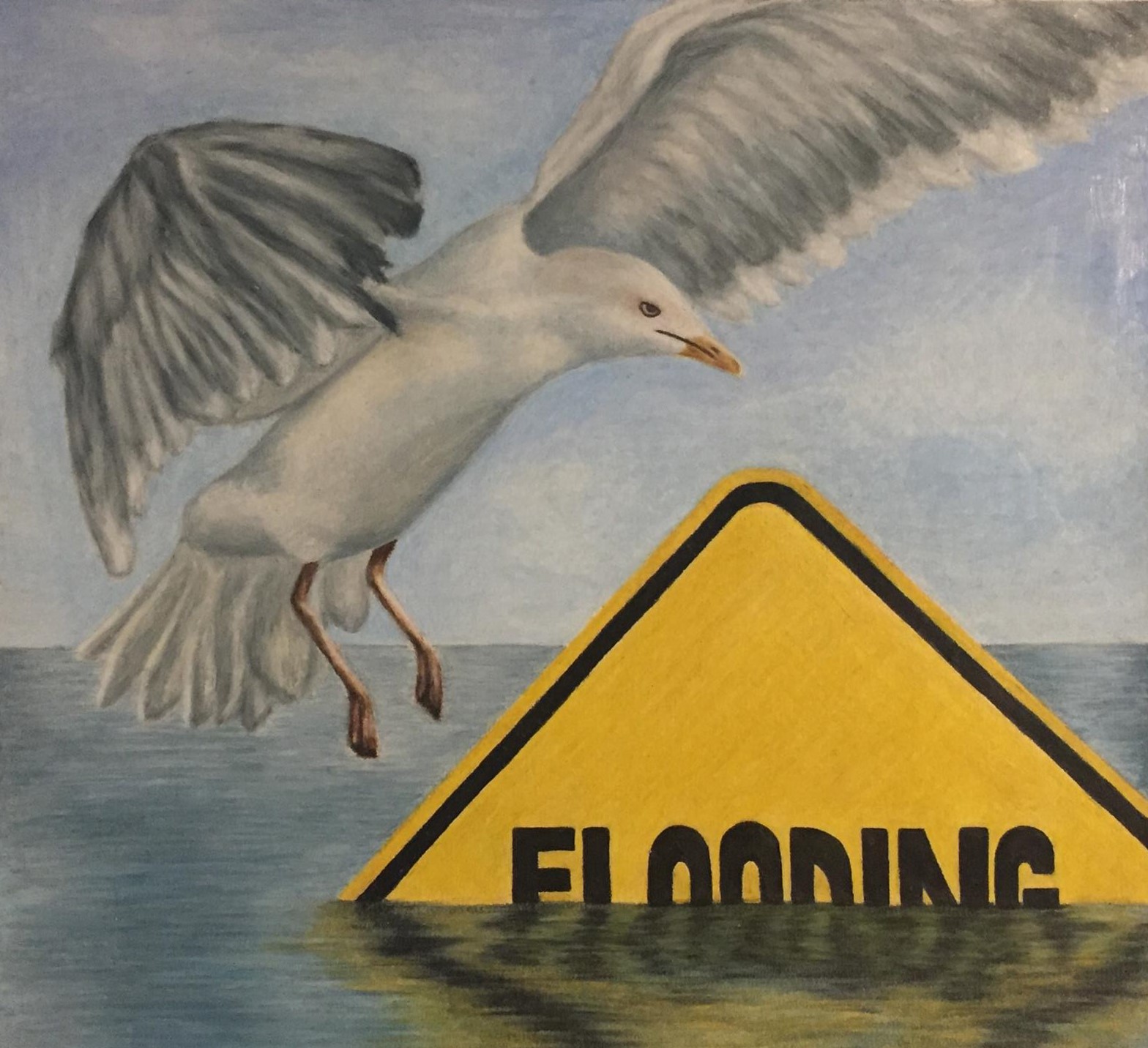 a seagull landing on a mostly-submerged road sign that says FLOODING
