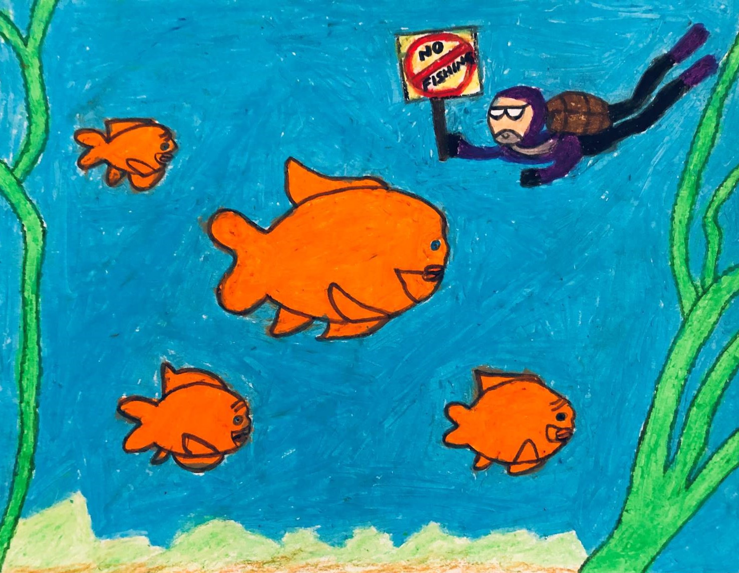 A SCUBA diver swims underwater holding a No Fishing sign while Garibaldi fish swim in foreground