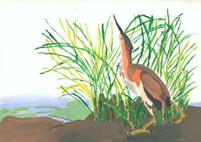 Shimmering Bird, art by Louca Bournemann, Grade 5