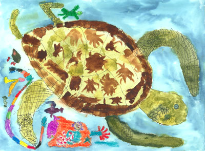 "Sea Turtle" by Theo Saarinen