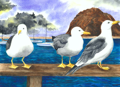 Morro Gulls by Michaelynne Whitsitt