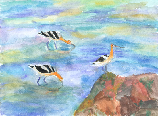 Three Avocets, by Gina Rose Partridge for the 2008 Coastal Art & Poetry Contest