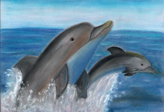 Deep Diving Dolphins, by Emily Li for the 2008 Coastal Art & Poetry Contest