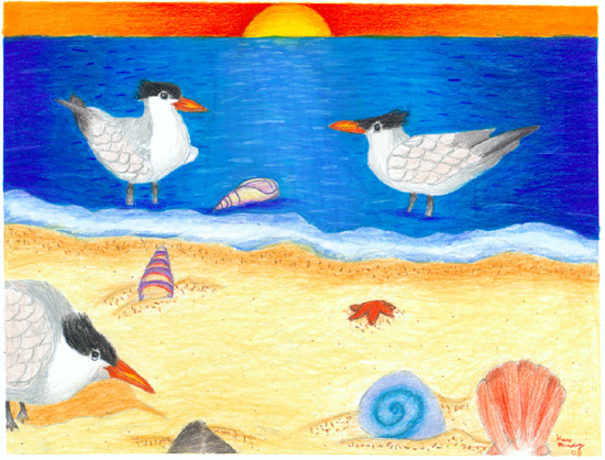 Royal Terns, by Kara Mendez for the 2008 Coastal Art & Poetry Contest