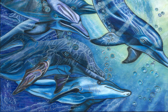 Dolphins Underwater, by Jennifer Lu for the 2008 Coastal Art & Poetry Contest