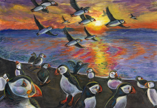 Puffins in paradise