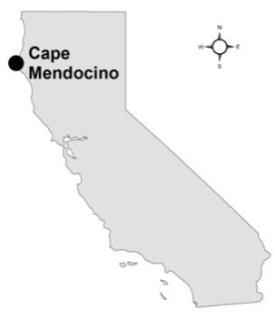 Cape Mendocino