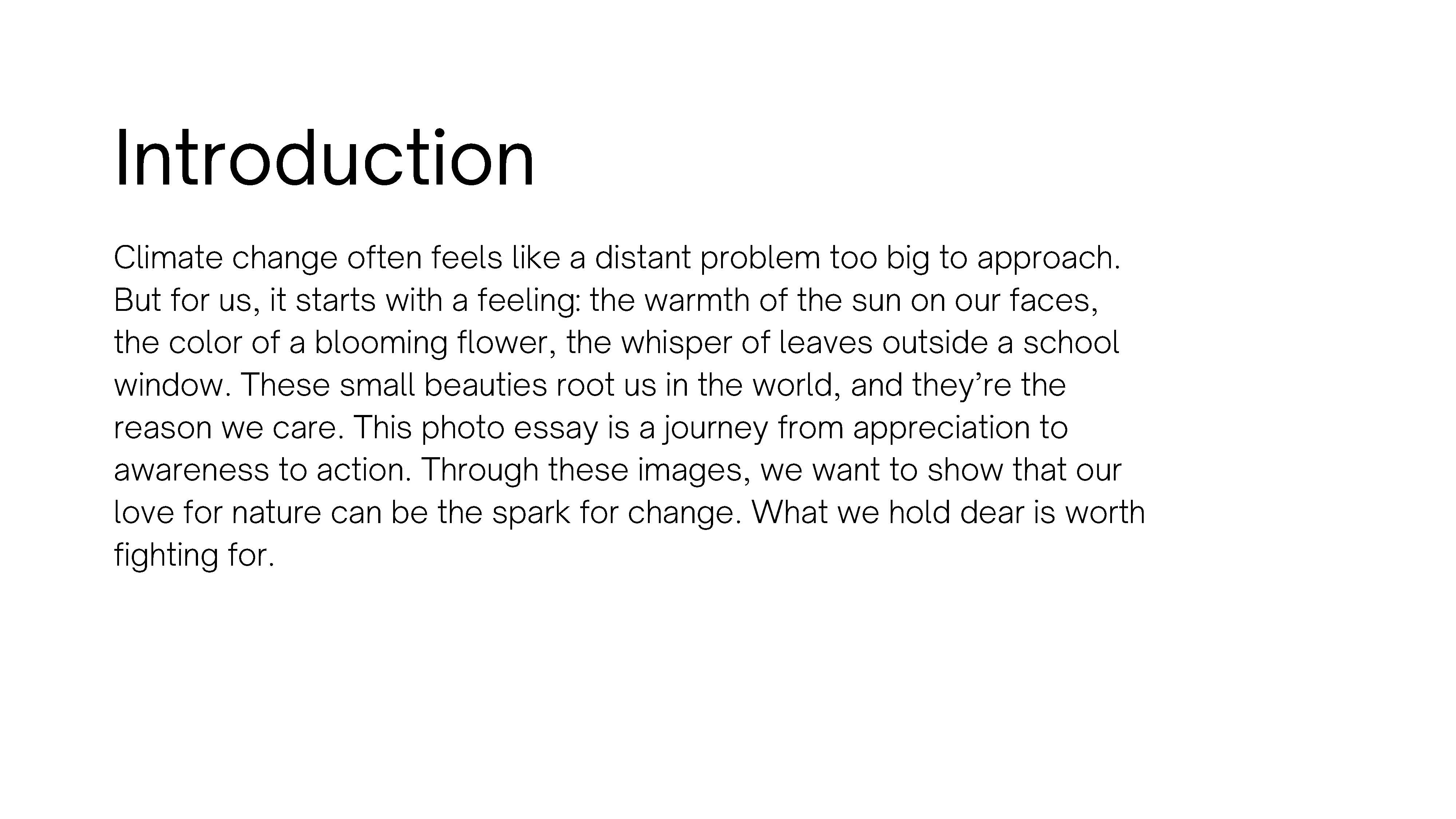 Text: Introduction. Climate change often feels like a distant problem too big to 
					approach. But for us, it starts with a feeling: the warmth of the sun on our faces, the 
					color of a blooming flower, the wisper of leaves outside a school window. These small 
					beauties root us in the world, and they're the reason we care. This photo essay is a 
					journey from appreciation to awareness to action. Through these images, we want to show 
					that our love for nature can be the spark for change. What we hold dear is worth fighting for.