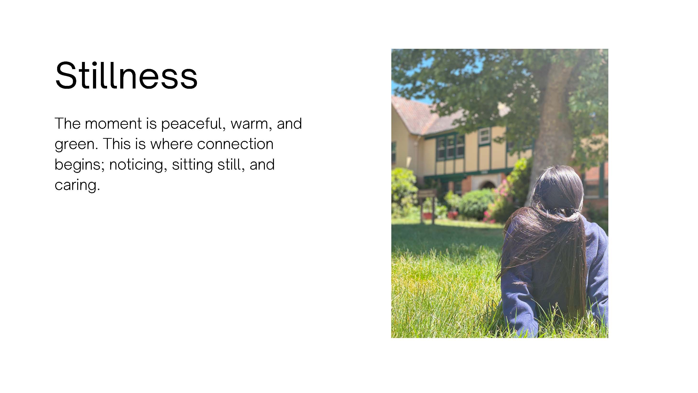 Photo from behind of a girl sitting in the grass under a tree, facing a building. Text: 
					Stillness. The moment is peaceful, warm, and green. This is where connection begins; 
					noticing, sitting still, and caring.