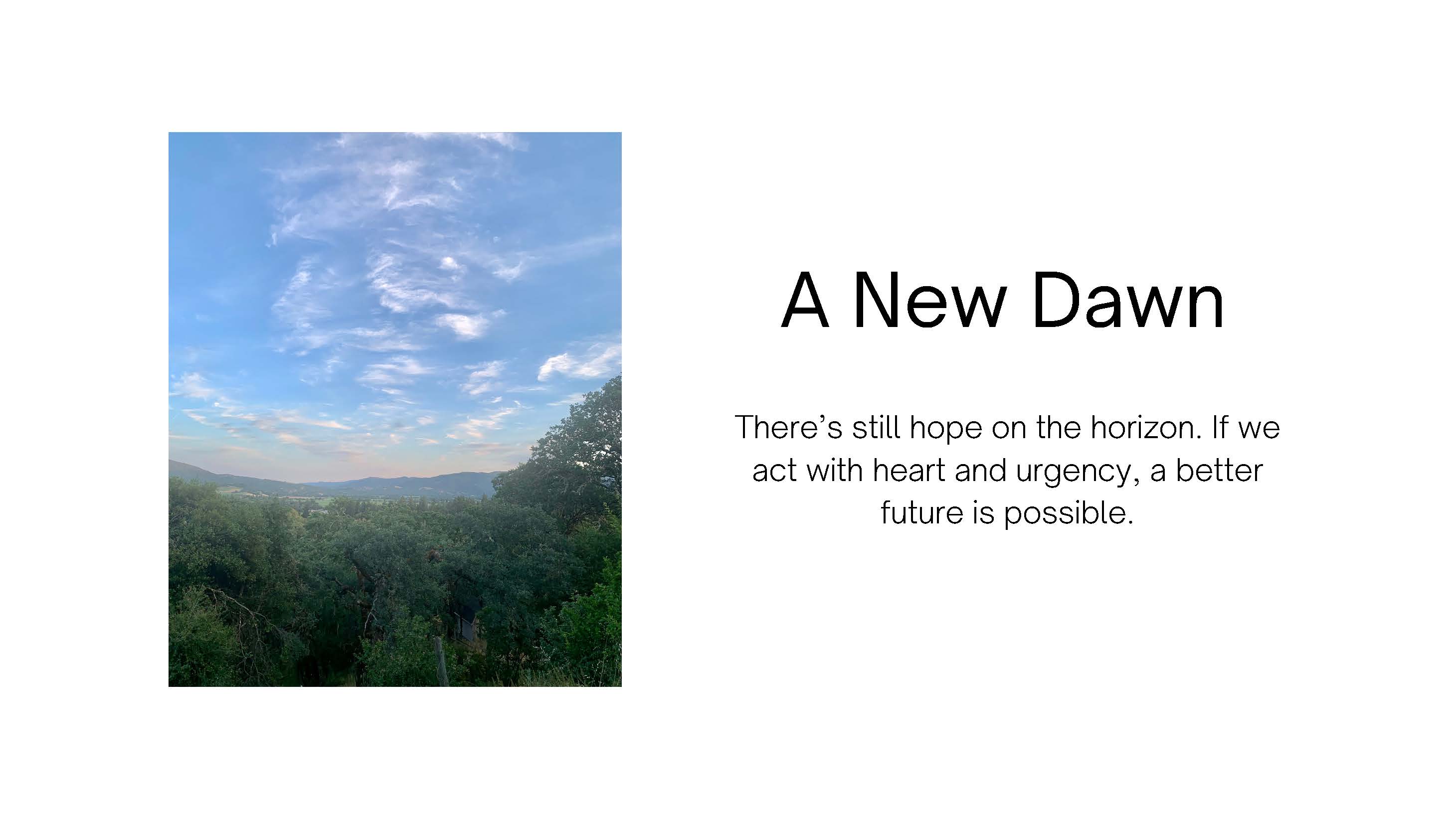 Photo of a peaceful vista of tree covered hills and mountains in the distance, under 
					a blue shy with wispy clouds. Text: A New Dawn. There's still hope on the horizon. If we 
					act with heart and urgency, a better future is possible.
