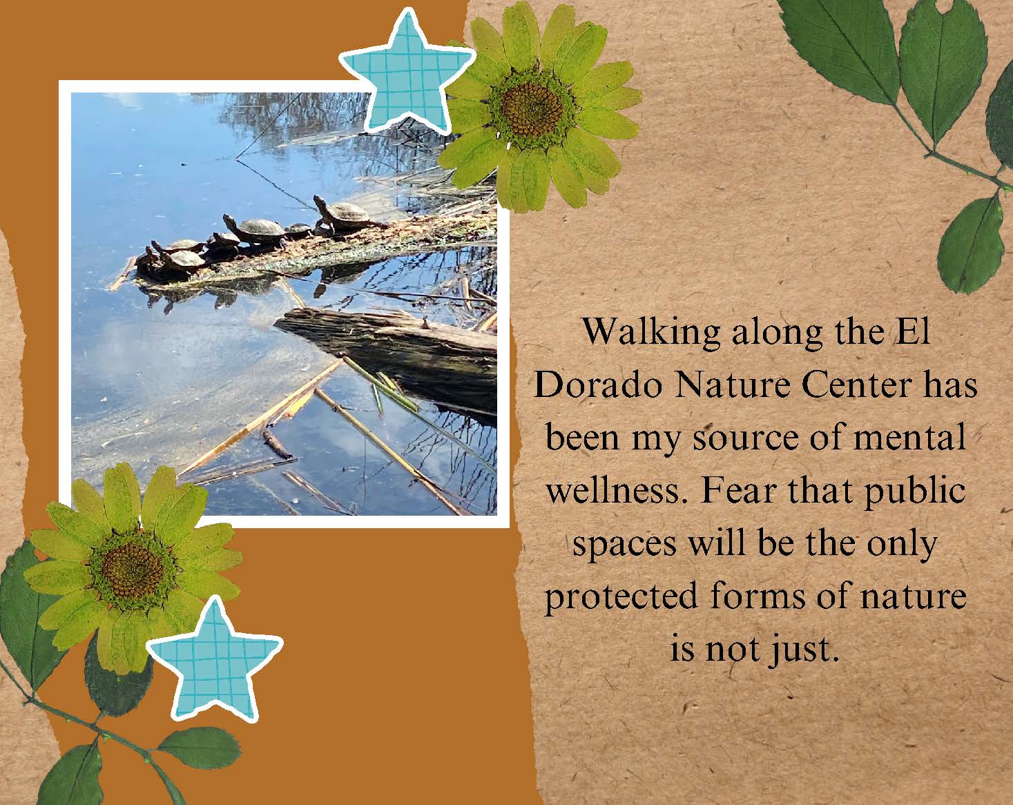 Photo of a line of turtles on a log in a pond. Text: Walking along the El Dorado 
					Nature Center has been my source of mental wellness. Fear that public spaces will be the only 
					protected forms of nature is not just.