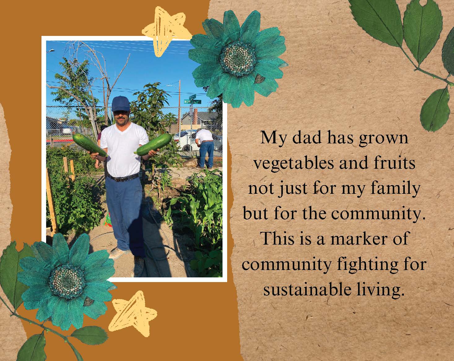 Photo of a pan standing in a garden holding two big zucchini in his hands. Text: 
					My dad has grown vegetables and fruits not just for my family but for the community. 
					This is a marker of community fighting for sustainable living.