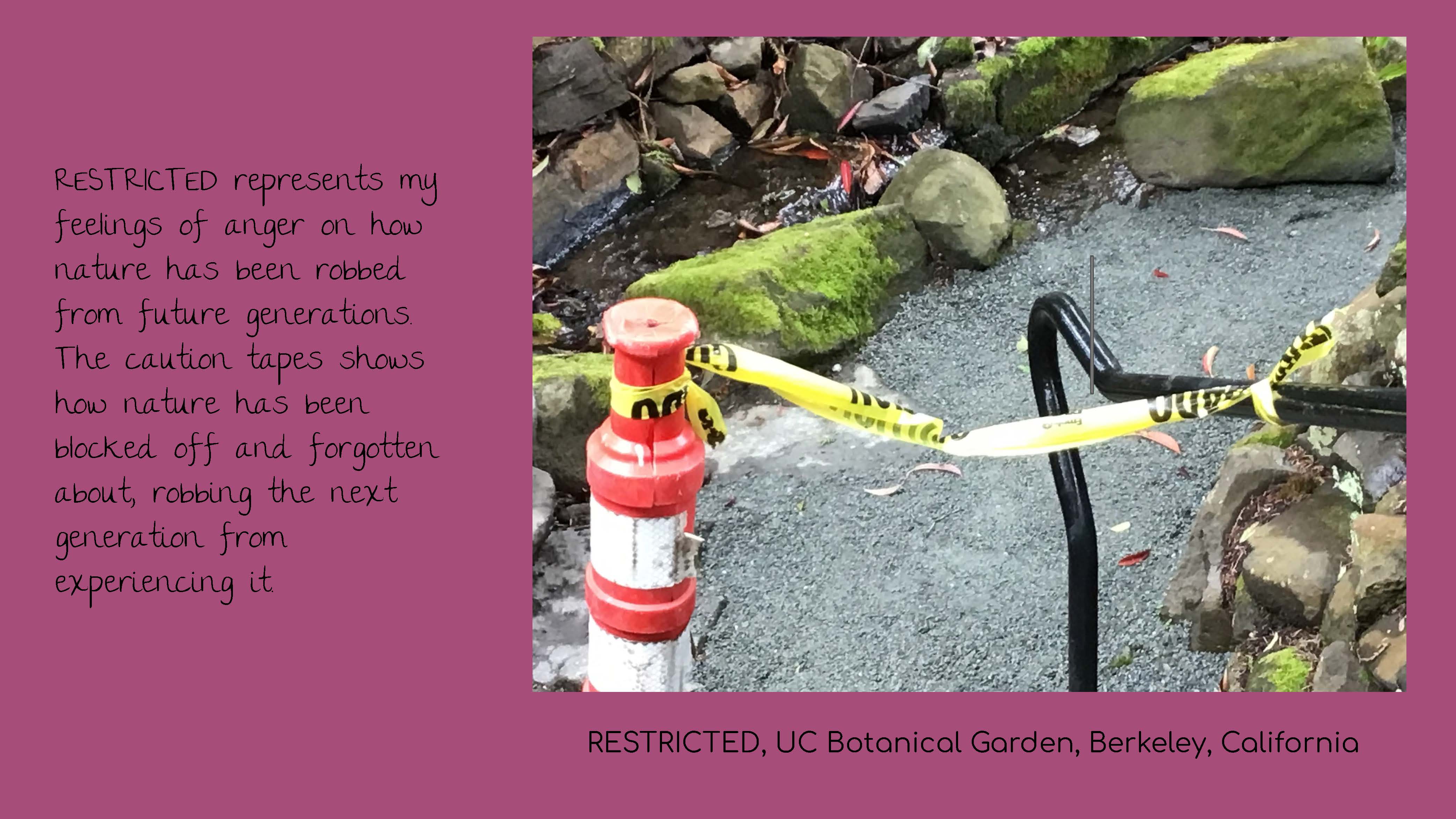 Photo of a caution tape across a path near a stream. Caption: RESTRICTED, UC Botanical 
					Garden, Berkeley, California. Text: RESTRICTED represents my feelings of anger on how nature 
					has been robbed from future generations. The caution tape shows how nature has been blocked 
					off and forgotten about, robbing the next generation from experiencing it.