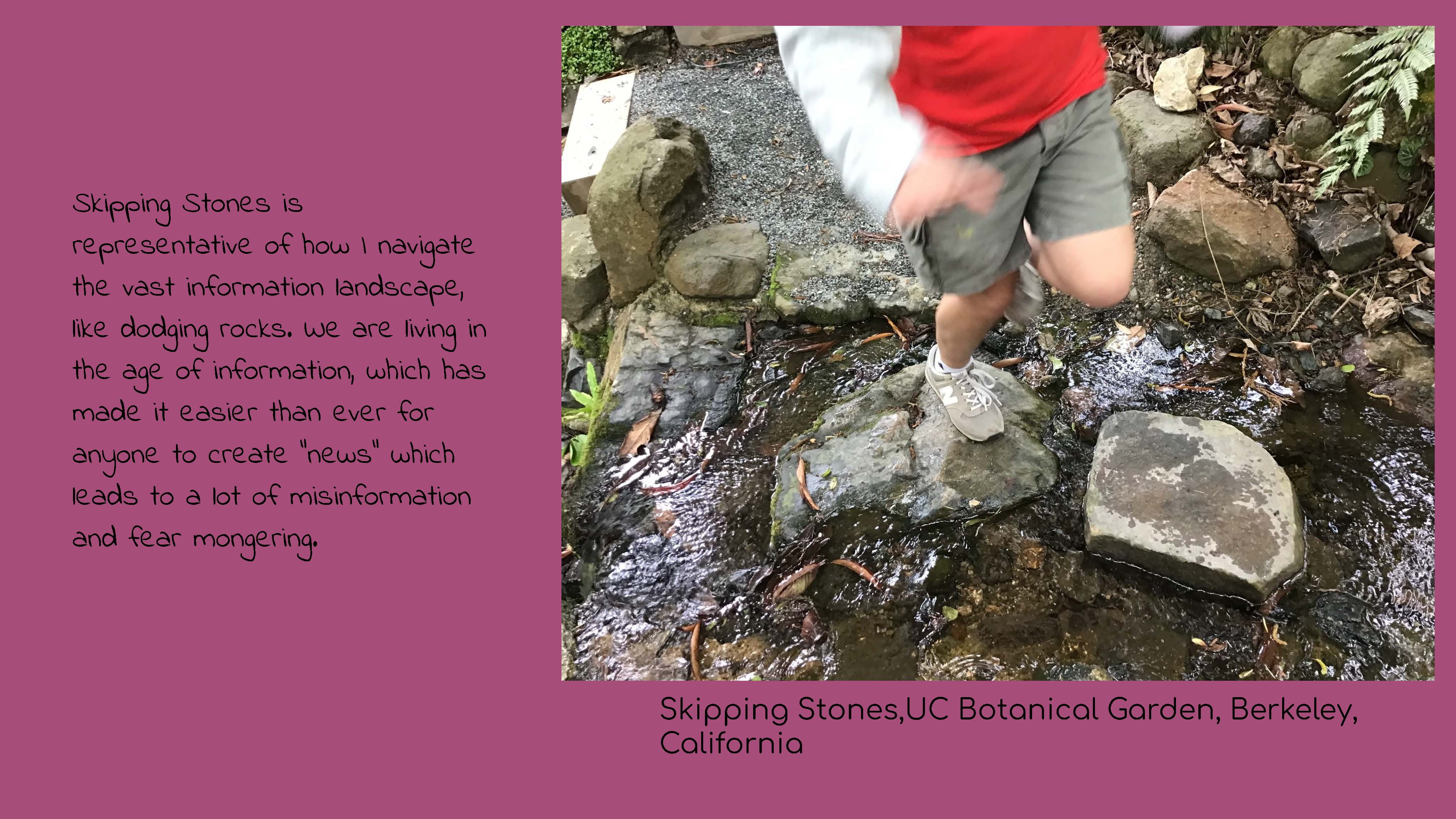 Photo of a child stepping on rocks to cross a stream. Caption: Skipping Stones, UC 
					Botanical Garden, Berkeley, California. Text: Skipping Stones is representative of how I 
					navigate the vast information landscape, like dodging rocks. We are living in the age of 
					information, which has made it easier than ever for anyone to create 'news' which leads to 
					a lot of misinformation and fear mongering.