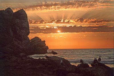 Summer Sunset, Morro Rock, California, by Carl F. Peters