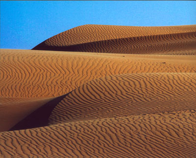 Sand Dunes, Oceano, California, by Diane Crouse