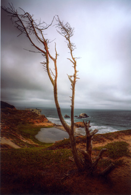 View of Sutro Baths ruins, San Francisco,By Mary Miller