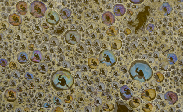 Self Portrait in Tide Pool Bubbles and Foam, Pescadero, ©Edwin Hacking