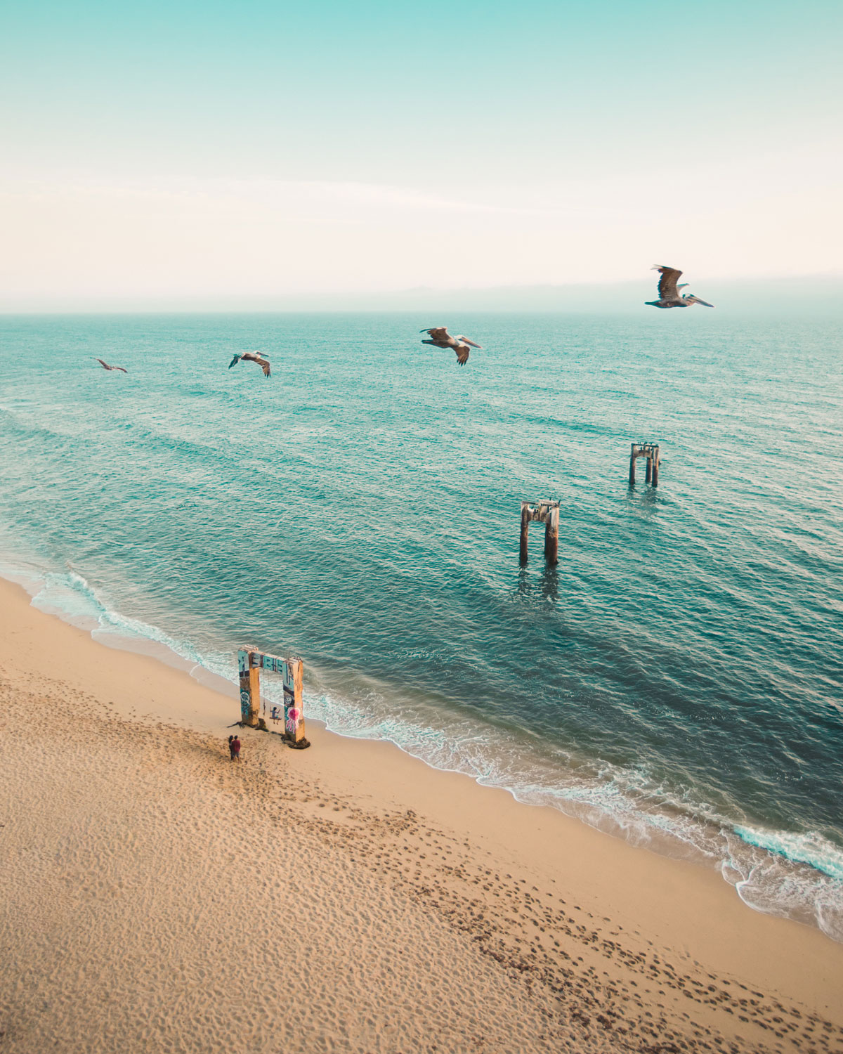 Pelicans flying over the remnants of a pier in Davenport, California