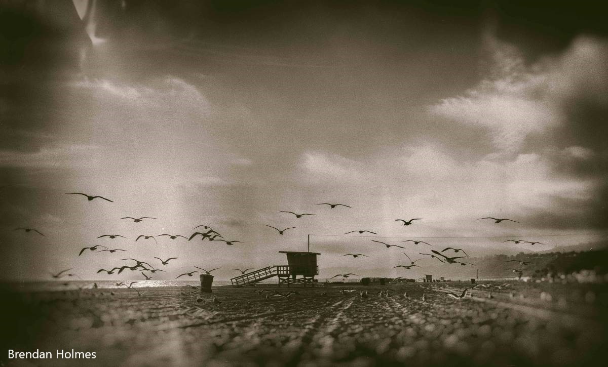 birds fly above the beach, a lifeguard tower in the background