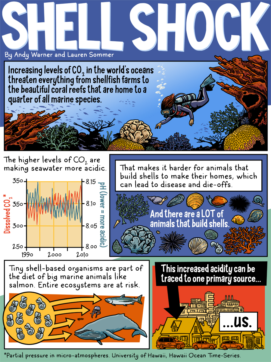 What is Shellshock? This infographic explains how a Shellshock